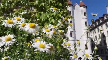 SANKT GALLEN, 7 Mayıs 2020 - St. Gallen, İsviçre 'nin kuzeydoğusundaki Constance Gölü' nün güneyinde yer alan bir şehirdir. Eski kasabadaki Schlossli Restoranı 'nın tarihi binası.