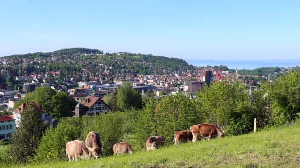 Sankt Gallen Svizzera Maggio 2020 San Gallo Una Città Sud — Video Stock