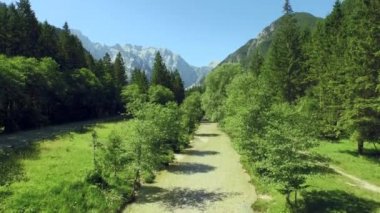 SOLCAVA, SLOVENIA - 12 Temmuz 2015: Logarska Dolina, 24 km boyunca uzanan bir peyzaj parkı. Burası Slovenya 'nın turizm ve eğlence için önemli bir beldesi.