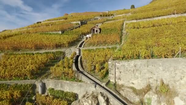 Lavaux Switzerland October 2015 Lavaux Famous Wine Growing Region Canton — Stock Video