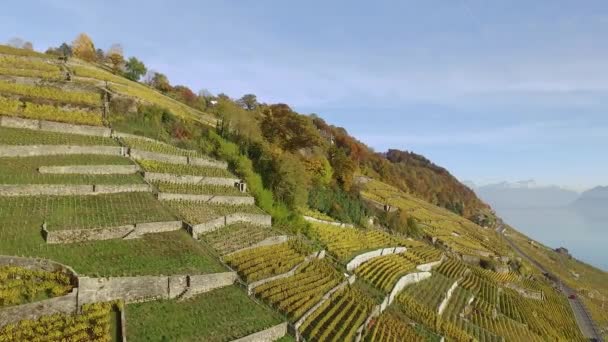 Lavaux Schweiz Oktober 2015 Lavaux Berömd Vinodlingsområde Kantonen Vaud Schweiz — Stockvideo