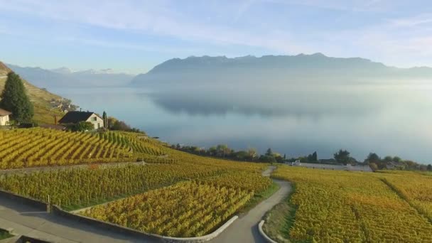 Lavaux Švýcarsko Října 2015 Lavaux Známý Vinařský Region Kantonu Vaud — Stock video