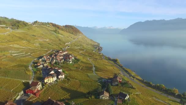 Лаво Швейцарія Жовтня 2015 Лаво Знаменитий Виноробний Регіон Кантоні Вод — стокове відео