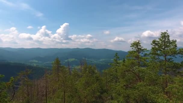 Montagne Una Giornata Sole Estivo Aerial Drone Footage — Video Stock