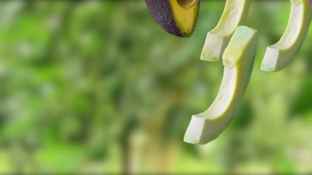 Aguacate Con Rodajas Cayendo Sobre Árbol Con Aguacate Fondo — Vídeos de Stock