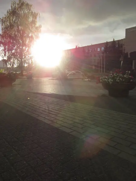 Petersburg Şehri. Parkta şafak vakti.