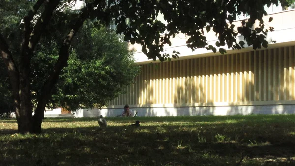 Petersburg şehri. Parkta dinlen.