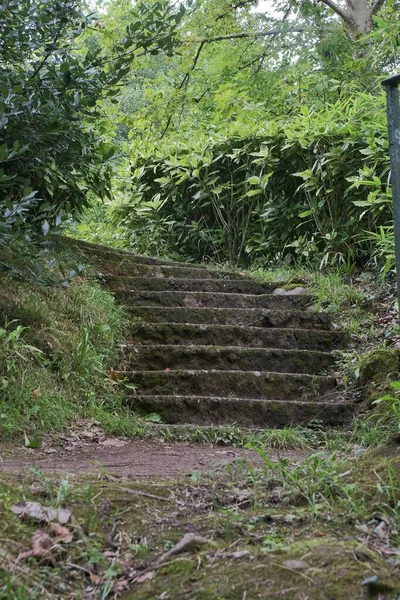 Escaleras de piedra en un jardn en pleno Valle del Baztn, Navarra.