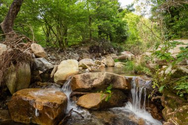 Galiçya 'daki bir dağda kayaların ve ağaçların arasından geçen bir nehir.