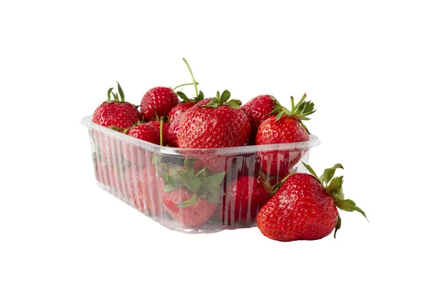 Heap Vivid Raw Tasty Saturated Ripe Red Strawberries Laying Plastic — Stock Photo, Image