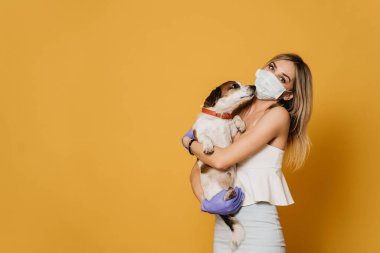 Cerrahi maskeli ve koruyucu eldivenli çekici bir sarışın, açık renk bluz ve etek giymiş köpeğine sarılıyor, karantina sırasında Coronavirus salgınından dolayı arkadaşlarına bakıyor. Covid-19 konsepti.