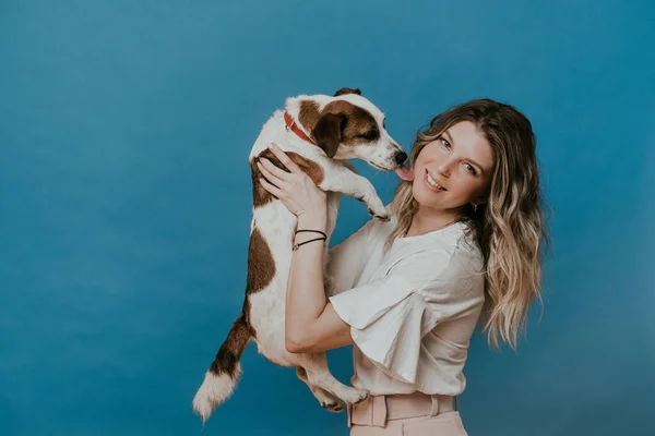 Gündelik elbiseli, sırıtan sevimli bir sarışın, mavi arka planda yanağını yalayan köpeği Jack Russel 'ı tutuyor. Evcil hayvanlar ve ev sahipleri. Mutluluk kavramı.
