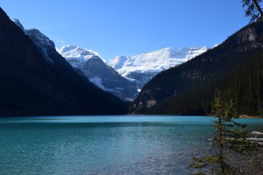 Banff, Jasper ve Lake Louise Kanada 'daki ulusal parklar.