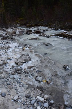 Jasper, Banff ve Lake Louise Kanada 'daki ulusal parklar.