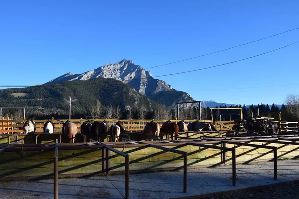 Banff, Jasper ve Lake Louise Kanada 'daki ulusal parklar.