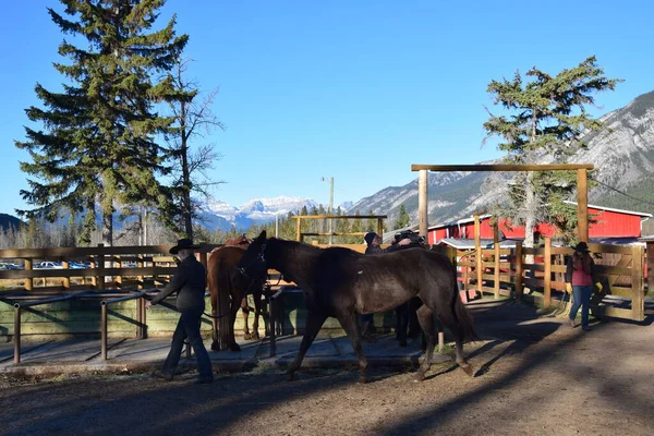 Banff, Jasper ve Lake Louise Kanada 'daki ulusal parklar.