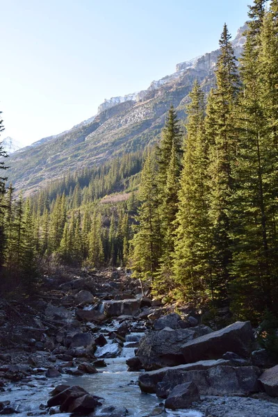 Jasper, Banff ve Lake Louise Kanada 'daki ulusal parklar.