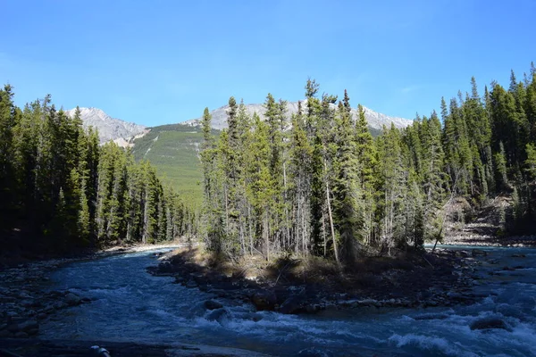 Banff Jasper Och Lake Louise Nationalparker Kanada — Stockfoto