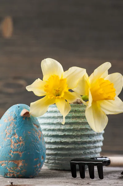 Fiori di narciso in vaso con attrezzi da giardinaggio — Foto Stock