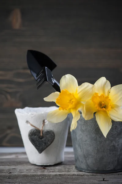 Attrezzi da giardinaggio, vasi, fiori — Foto Stock