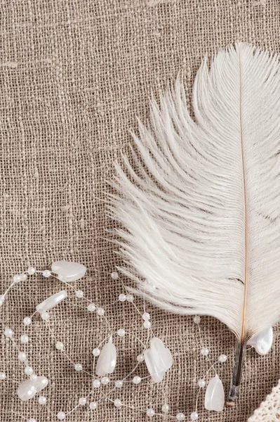 Fondo de lino con pluma blanca — Foto de Stock