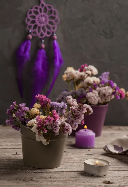 Suchych kwiatów i fioletowy dream catcher — Zdjęcie stockowe