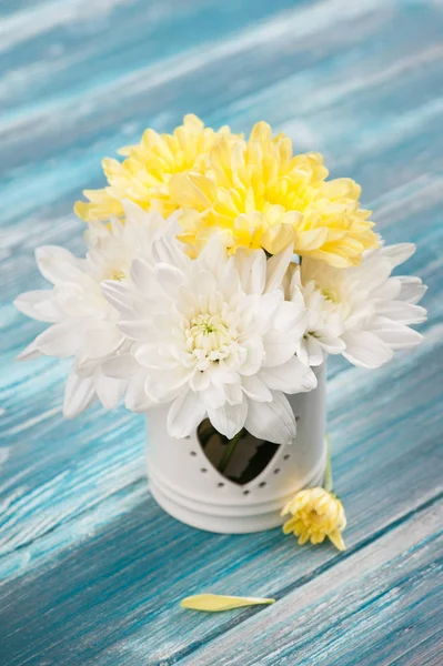 White and yellow chrysanthemum in a pot — Stock Photo, Image