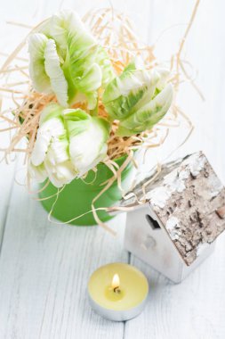 Yeşil laleler, tahta kalp şekli kuş evi 