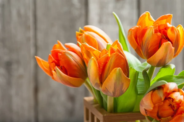 Bukiet tulipanów pomarańczowych — Zdjęcie stockowe