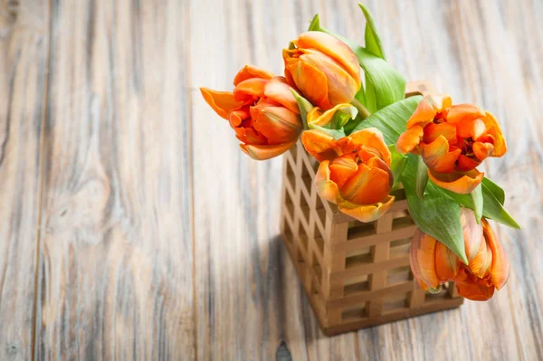 Bukiet tulipanów pomarańczowych — Zdjęcie stockowe