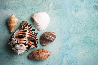 Deniz mavi beton zemin üzerine