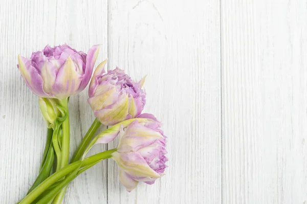 Tulipes roses sur des planches en bois blanc minable — Photo