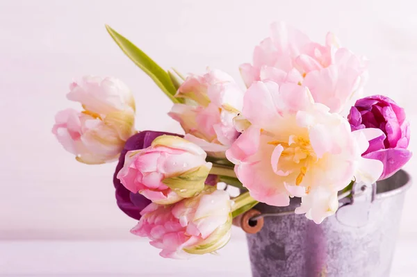 Розовые фиолетовые тюльпаны в жестянке — стоковое фото