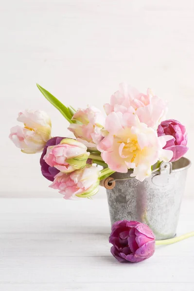 Rosa lila Tulpen im Blecheimer — Stockfoto