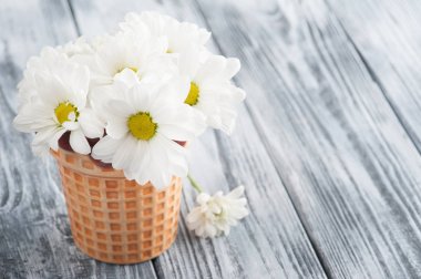 Eski püskü ahşap masa üzerinde tencerede taze papatya çiçekler