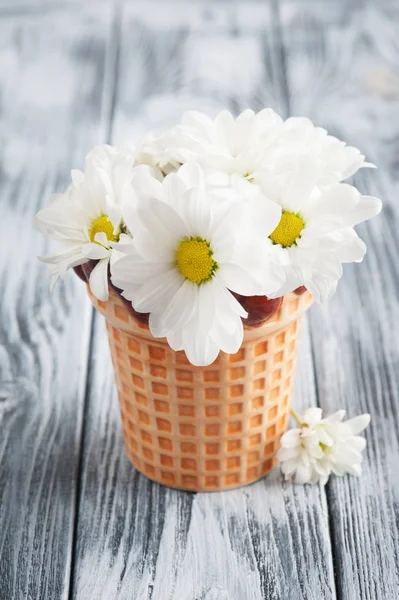 Verse madeliefjebloemen in pot op armoedige houten tafel — Stockfoto