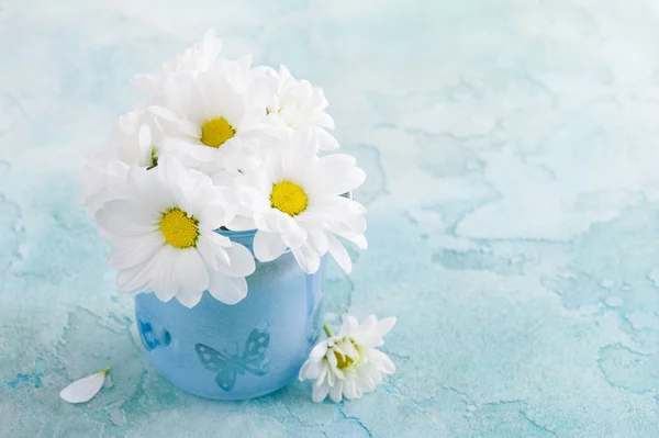 Flores frescas de margarida em vidro azul — Fotografia de Stock