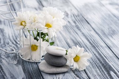 Çakıl taşları ve eski püskü ahşap arka plan üzerinde papatya