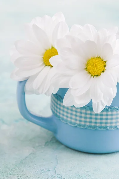 Tazza blu con margherite su una superficie di cemento squallido — Foto Stock