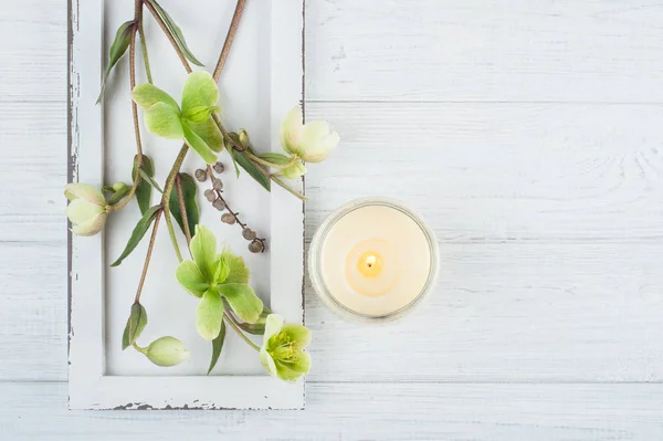 Зеленые цветы и зажженная свеча — стоковое фото