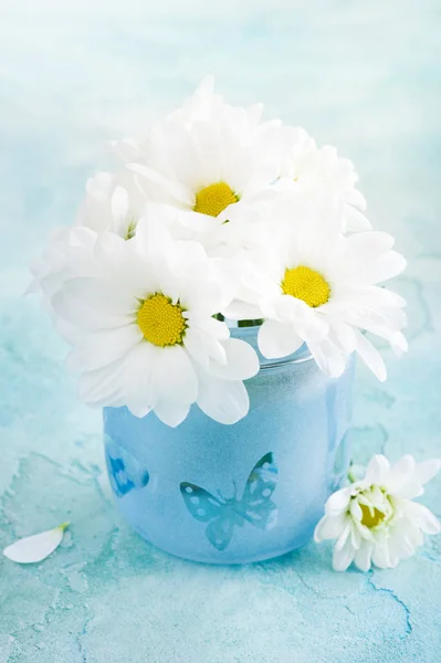 Čerstvé daisy květiny v modré sklo — Stock fotografie