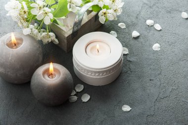 çiçekli ağaç dalları 