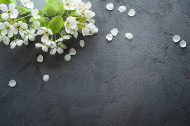 çiçekli ağaç dalları 