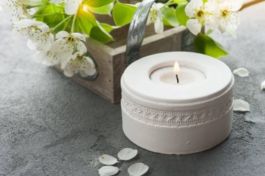 çiçekli ağaç dalları 