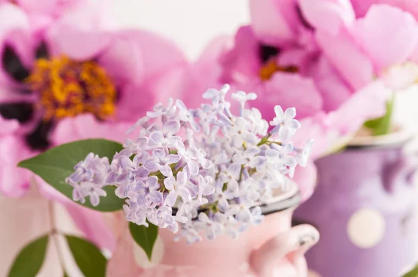 Närbild pioner och lila blommor — Stockfoto