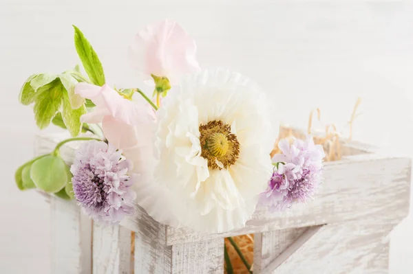 Trälåda med vallmo och blommor — Stockfoto