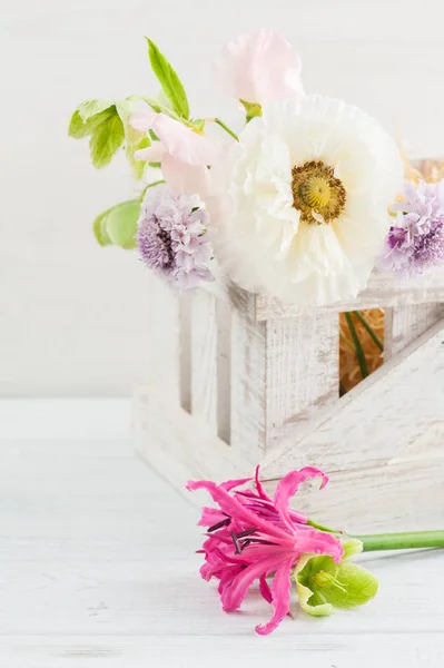 Caixa de madeira com papoula e flores — Fotografia de Stock