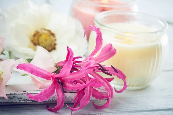 Pink lilly on old wooden background — Stock Photo, Image