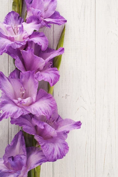 Purple gladiolus on white table — Stock Photo, Image