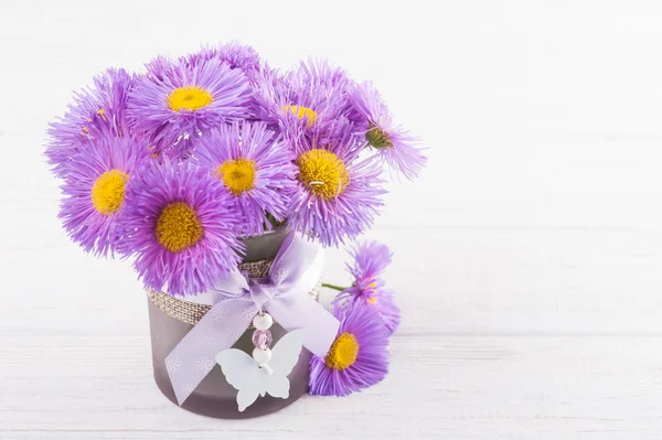 Purple daisies on white table — Stock Photo, Image